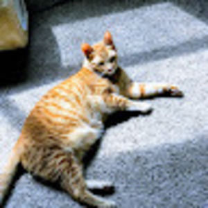 Meet your Posher, Whitney